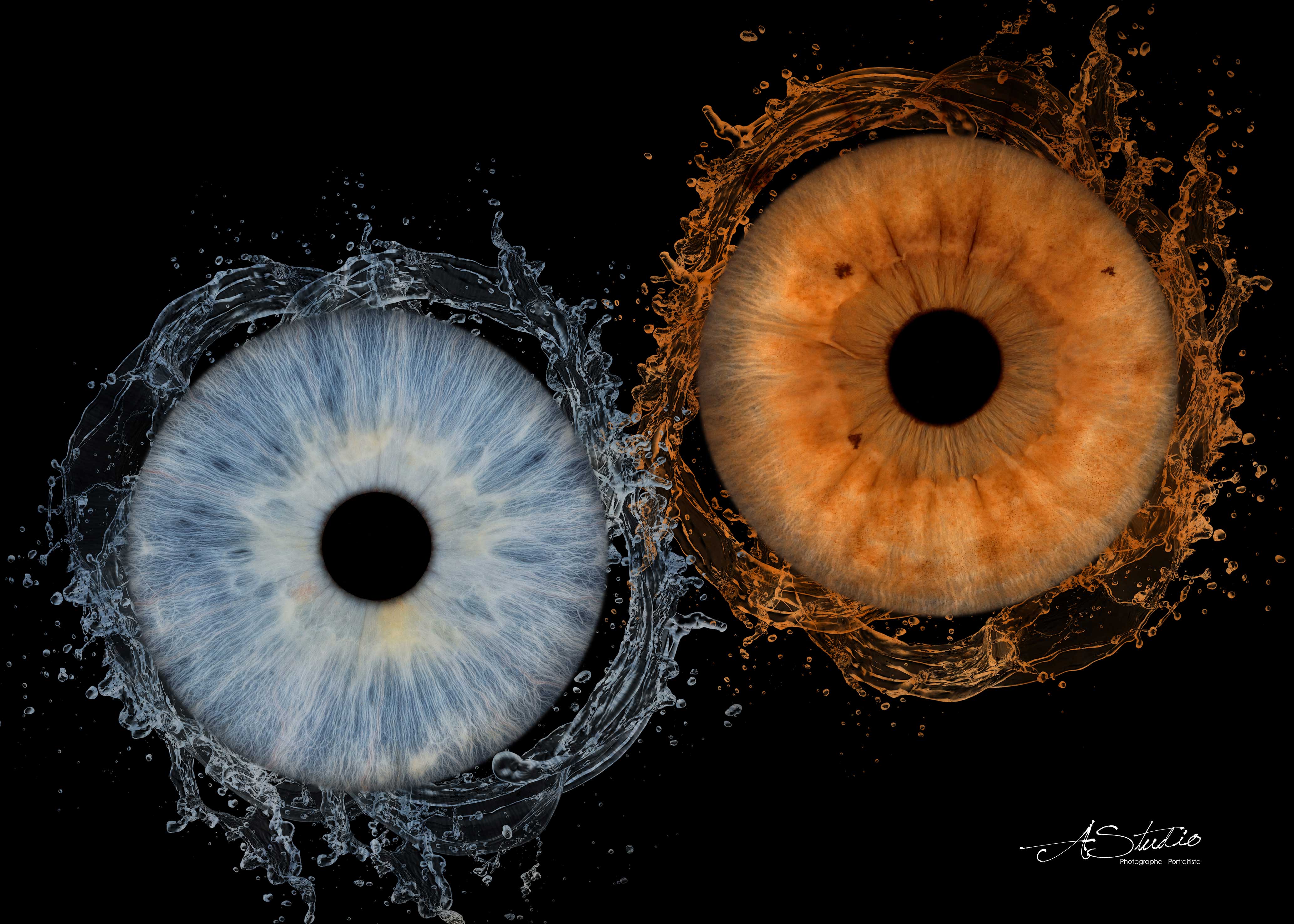 Création de deux iris avec effet tourbillon chez AStudio